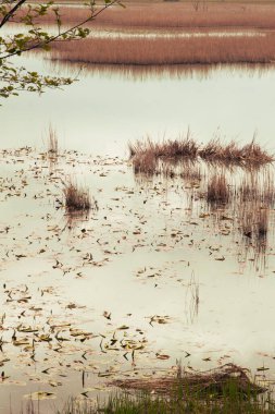 Sabah göl manzarası çok güzel.