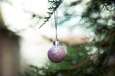 Süslü Noel ağacı 