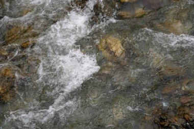 Bahar ormanında şelalesi olan güzel bir dağ deresi.