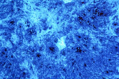 Arka plan olarak kullanmak için akrilik karışımının yakın plan soyut rengi. Mermer desenli akrilik doku, mavi mermer arkaplan