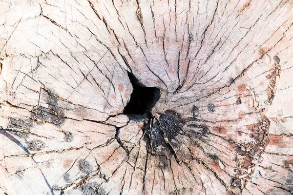 Fondo Textura Madera Vieja — Foto de Stock