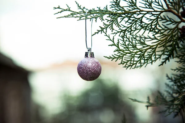 Árvore Natal Com Decoração — Fotografia de Stock
