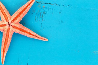 Tatil konsepti için mavi ahşap arka planda turuncu yıldızlı balıklardan oluşan yaz tahtası