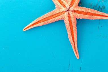 Tatil konsepti için mavi ahşap arka planda turuncu yıldızlı balıklardan oluşan yaz tahtası