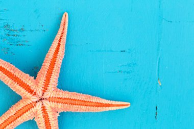 Tatil konsepti için mavi ahşap arka planda turuncu yıldızlı balıklardan oluşan yaz tahtası