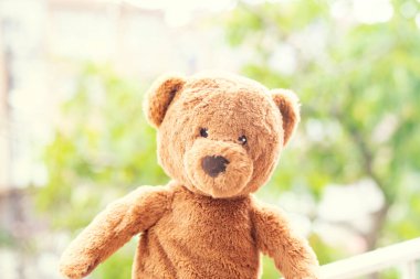 Oyuncak ayı. Oyuncak ayı, açık hava, bulanık arka plan 