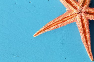 Tatil konsepti için mavi ahşap arka planda turuncu yıldızlı balıklardan oluşan yaz tahtası