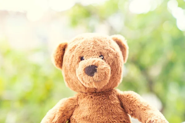 Urso Peluche Teddy Urso Marrom Livre Sobre Fundo Borrado — Fotografia de Stock