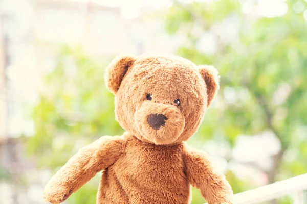 Teddy Bear Teddy Brown Bear Outdoors Blurred Background — Stock Photo, Image