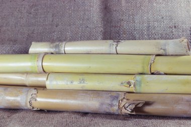 Yeşil bambu yapraklarını kapatın.