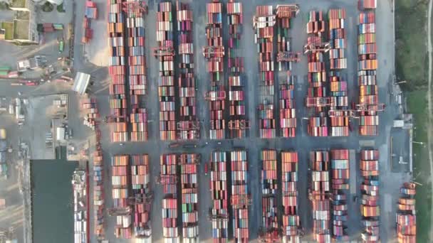 Logistik Und Transport Von Containerschiffen Und Frachtflugzeugen Mit Funktionierender Kranbrücke — Stockvideo