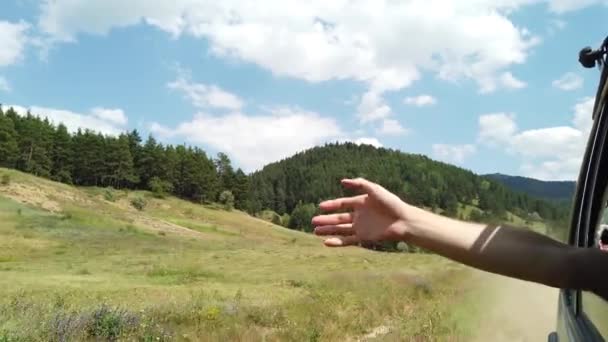 Superfície Montanhosa Planalto Montanha Coberto Grama Floresta — Vídeo de Stock