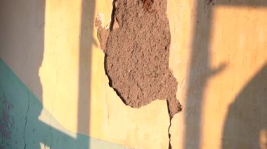 Terk edilmiş eski evin içinde. 