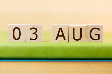 Tahta küplerin takvimi 03 AĞUSTOS Yeşil Kitap, yakın plan