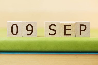 Yeşil kitap üzerine 09 Eylül takvimi için ahşap küp takvimi, yakın plan