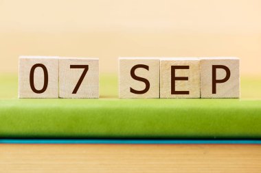 Tahta küplerin takvimi: 07 Eylül Yeşil Kitap, kapanış