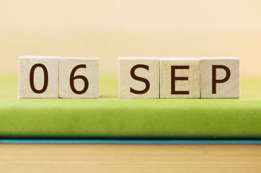 Odun küpleri takvimi, 06 EYLÜL Yeşil Kitap, yakın plan