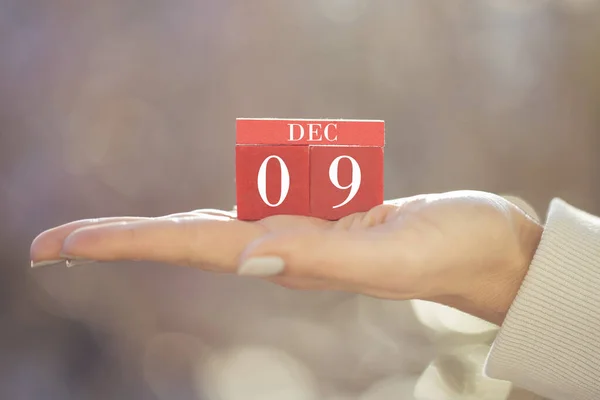 女用手拿着红木日历的衣服 2009年12月的红木方块日历 — 图库照片
