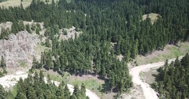 Vista Aérea Campo Verde Paisajes Las Tierras Altas — Vídeos de Stock