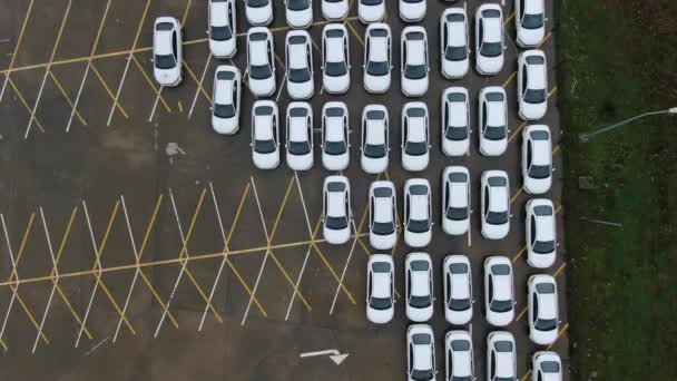 Аерофотозйомка Нових Автомобілів Викладених Порту Імпорту Експорту — стокове відео