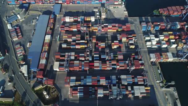 集装箱船在深海港装卸 航观商贸物流进出口货物运输 集装箱船在海上装卸 — 图库视频影像