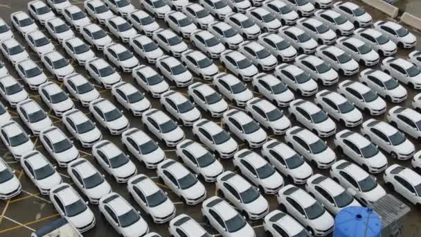 Vista Aérea Coches Nuevos Alineados Puerto Para Importación Exportación — Vídeo de stock