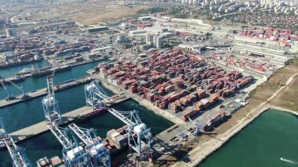 Logistics Transportation Container Cargo Ship Cargo Plane Working Crange Bridge — Αρχείο Βίντεο