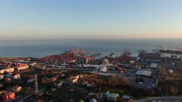輸出入及び事業物流におけるコンテナ船 クレーン 貿易港 港への貨物輸送 — ストック動画