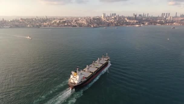 Frachtschiff Import Export Und Business Logistik Logistik Und Transport Von — Stockvideo