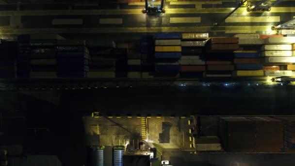 从事进出口和商业物流的集装箱船 由起重机 贸易港口 货轮运往港口 — 图库视频影像