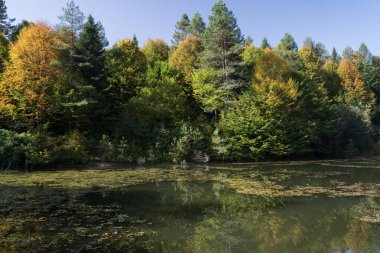 Göl ve orman manzarası, Türkiye, Bursa.