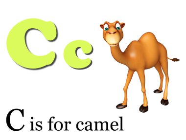 Deve domastic hayvan alphabates ile