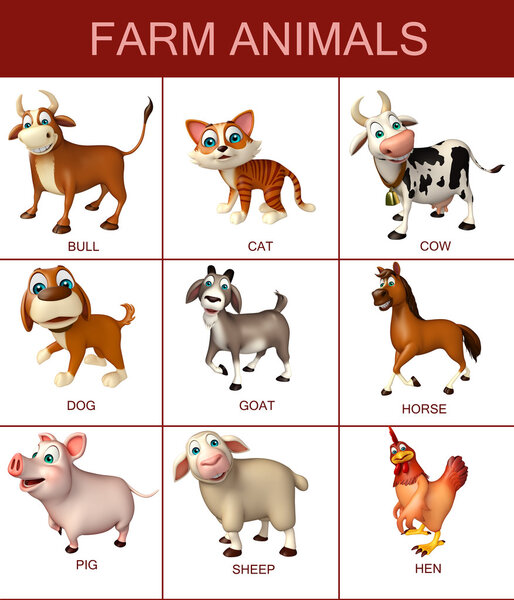 farm animal chart