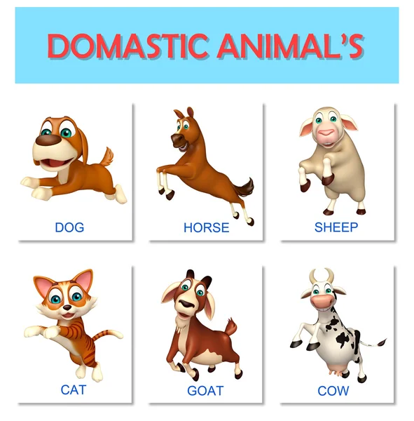 Domastic тварина діаграми — стокове фото