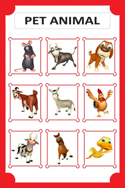 Pet animal chart — Stock Photo, Image