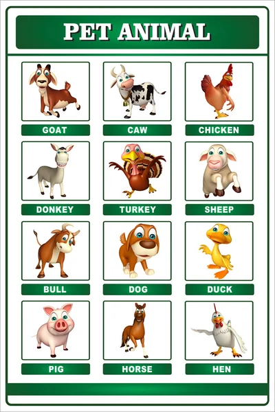 Pet animal chart — Stock Photo, Image