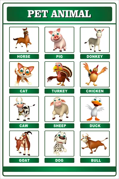 Pet Animals Images Chart