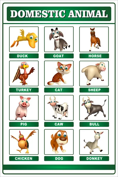 Domastic animal chart — Stock Photo, Image