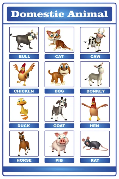 Domastic djur diagram — Stockfoto