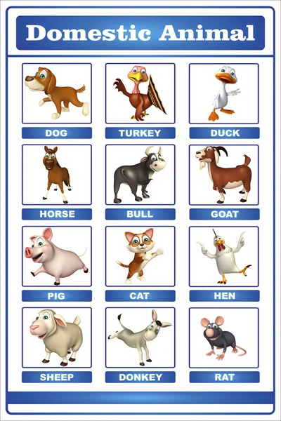 Domastic djur diagram — Stockfoto