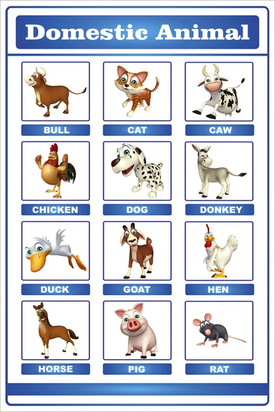 Domastic animal chart — Stock Photo, Image