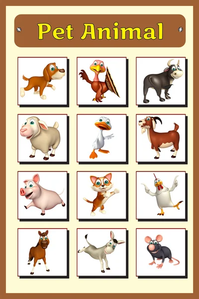 Pet animal chart — Stock Photo, Image