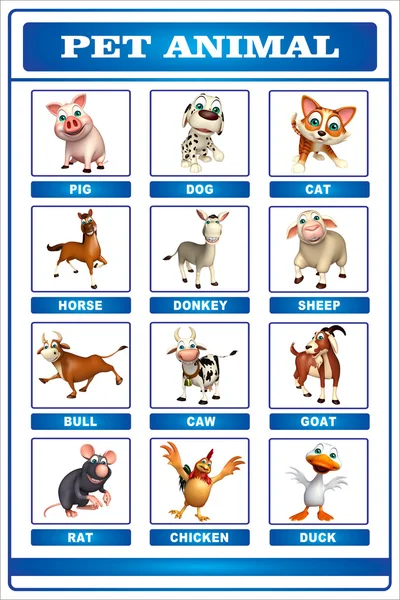 Pet animal chart — Stock Photo, Image