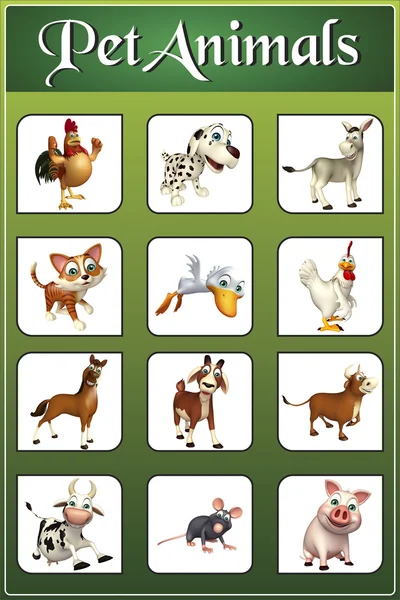 Pet animal chart — Stock Photo, Image