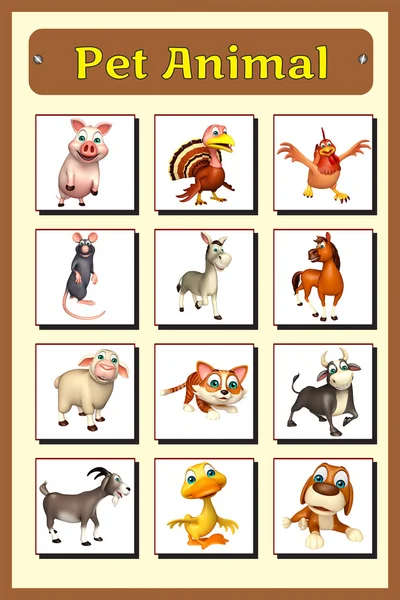 Pet animal chart — Stock Photo, Image