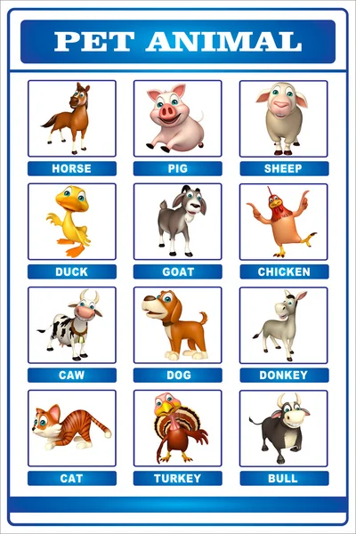 Pet animal chart — Stock Photo, Image