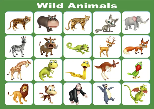 Wild animal chart — Stock Photo, Image