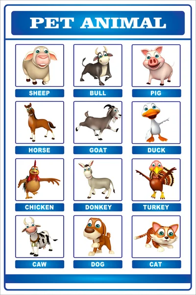 Pet animal chart — Stock Photo, Image