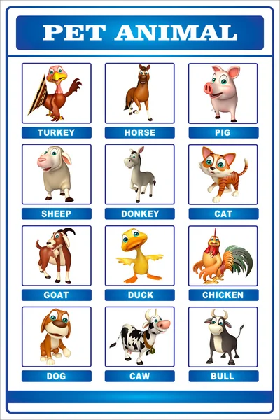 宠物动物图表 — 图库照片