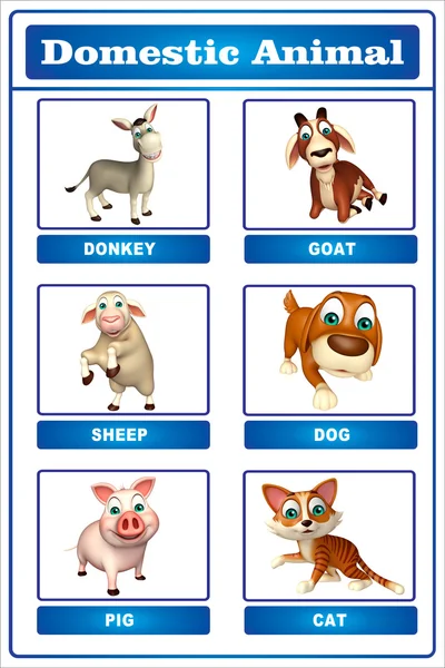 Domastic animal chart — Stock Photo, Image